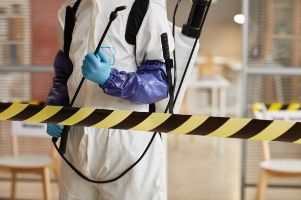 Professional Biohazard technician working in Mcbrides, MI